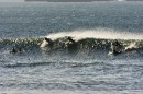 025-Symages-4C0R0083 * 1536 x 1024 * (284KB)